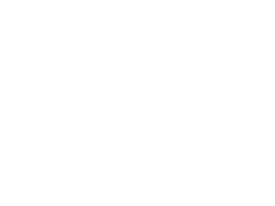 beatrijs springveld white