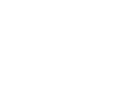 rex the agency