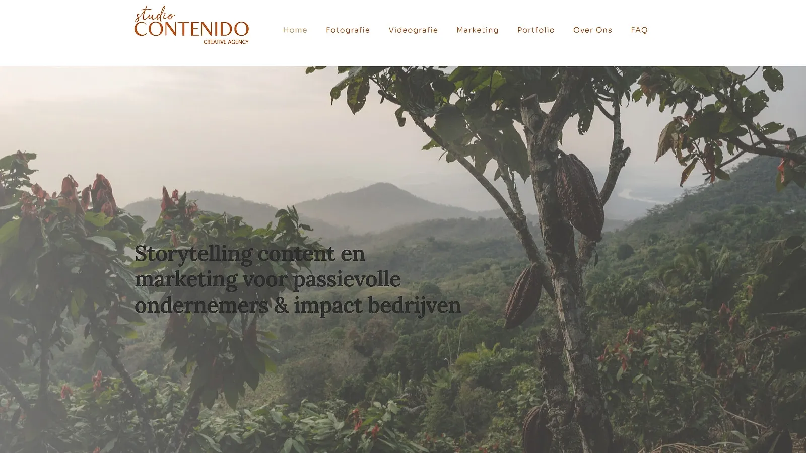 Studio Contenido — website voor de opfrisbeurt